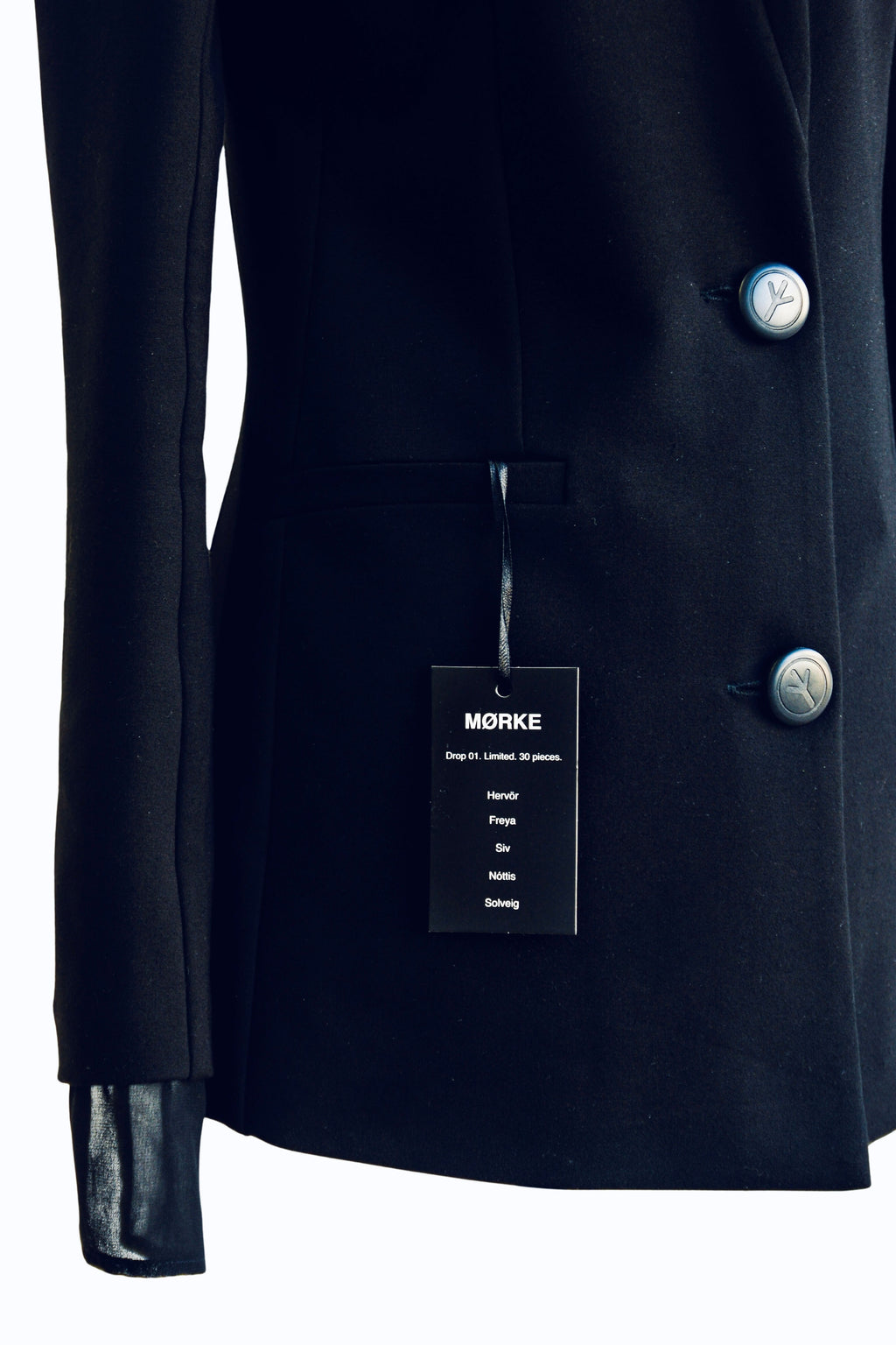 Hervör Blazer. The Silent Warrior