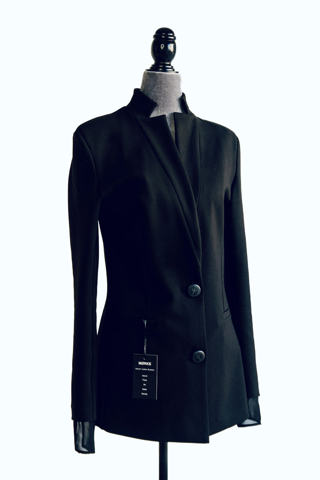 Hervör Blazer — The Silent Warrior