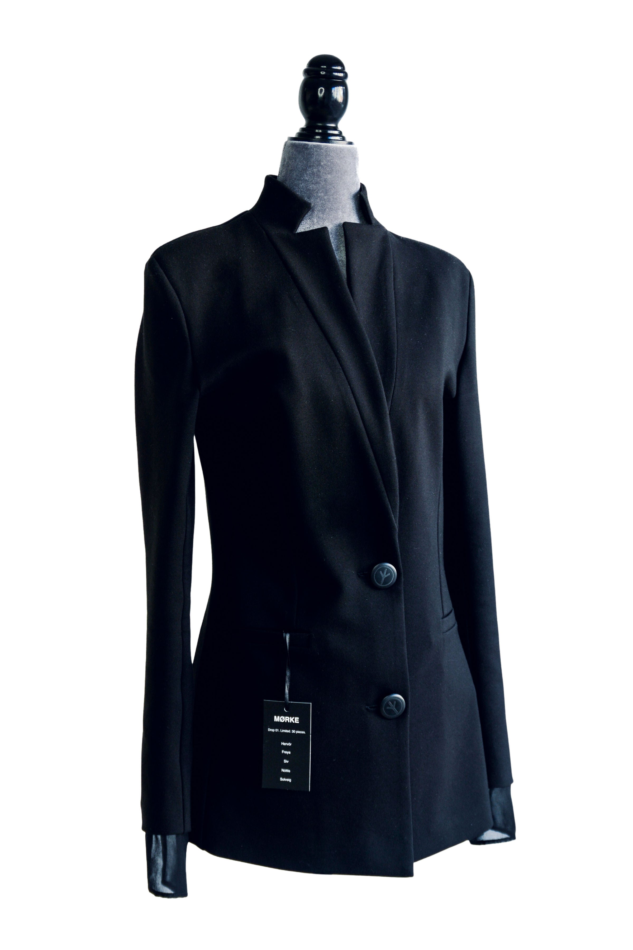 Hervör Blazer. The Silent Warrior